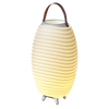 Kooduu - портативна світлодіодна лампа / кулер Synergy 50 з динаміком Bluetooth