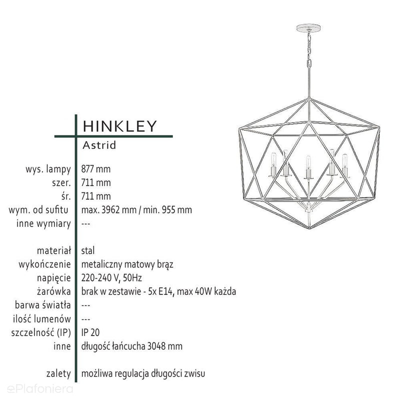 Astrid - горищний підвісний світильник - Hinkley, дріт - ажурна клітка (70х70см / 5хЕ14)