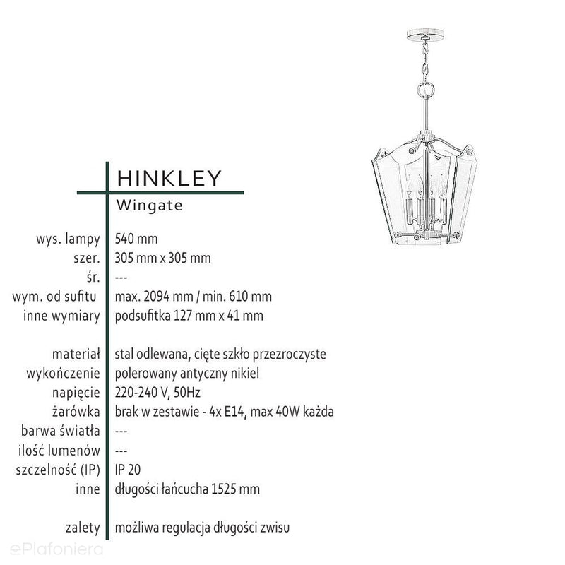 Скляний підвісний світильник Wingate для вітальні / їдальні / над столом - Hinkley (30x30cm / 4xE14)