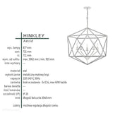 Astrid - горищний підвісний світильник - Hinkley, дріт - ажурна клітка (70х70см / 5хЕ14)
