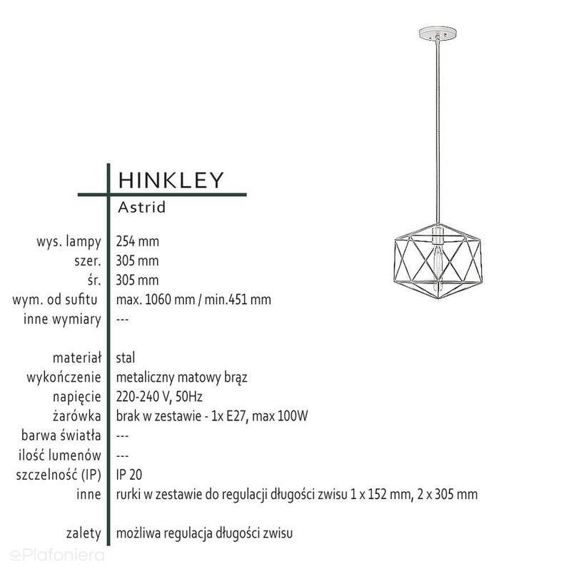 Підвісний дротяний світильник - ажурна клітка (30х30см) для вітальні, кухні, спальні (1хЕ27) Хінклі (Астрід)