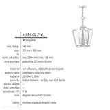 Скляний підвісний світильник Wingate для вітальні / їдальні / над столом - Hinkley (30x30cm / 4xE14)